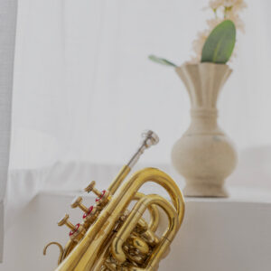 QueenBrass Pocket Trumpet – Bb Mini Brass with Red Valves