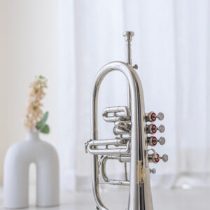 QueenBrass 4-Valve Flugelhorn Bb/F – Chrome Silver Brass with Case