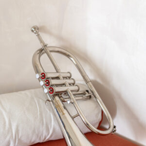 QueenBrass Bb Flugelhorn – 3-Valve Chrome Finish with Mouthpiece & Case