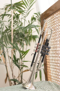 QueenBrass Bb Trumpet – Silver & Black Lacquer Student Model