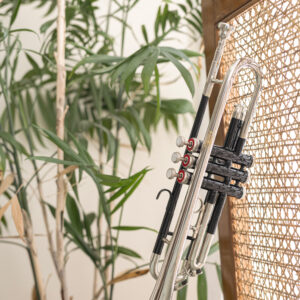 QueenBrass Bb Trumpet – Silver & Black Lacquer Student Model