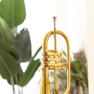 QueenBrass Bb Flugelhorn – 3-Valve Brass with Case & Mouthpiece