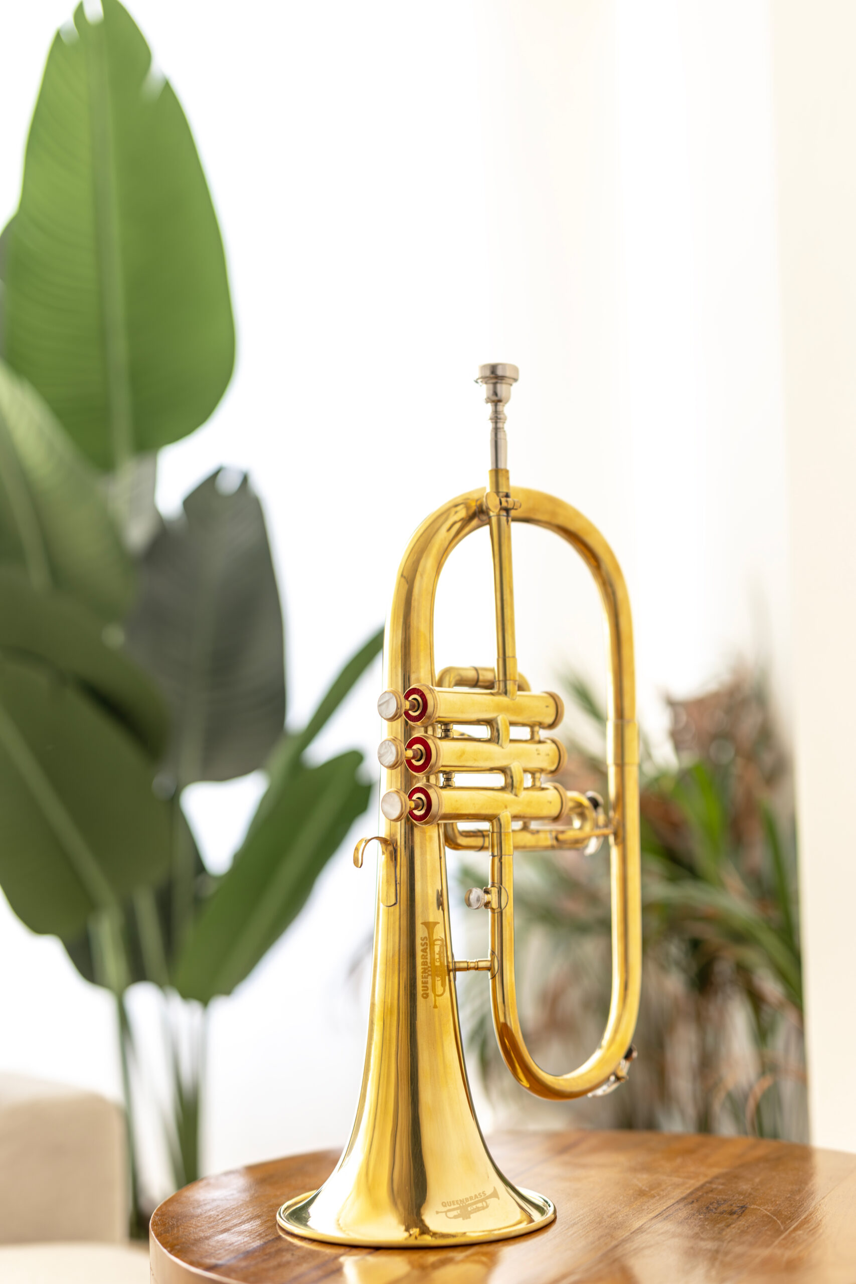 QueenBrass Bb Flugelhorn – 3-Valve Brass with Case & Mouthpiece