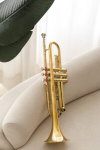 QueenBrass Standard Bb Trumpet – Beginner Brass Instrument with Case & Mouthpiece