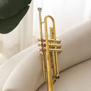 QueenBrass Standard Bb Trumpet – Beginner Brass Instrument with Case & Mouthpiece