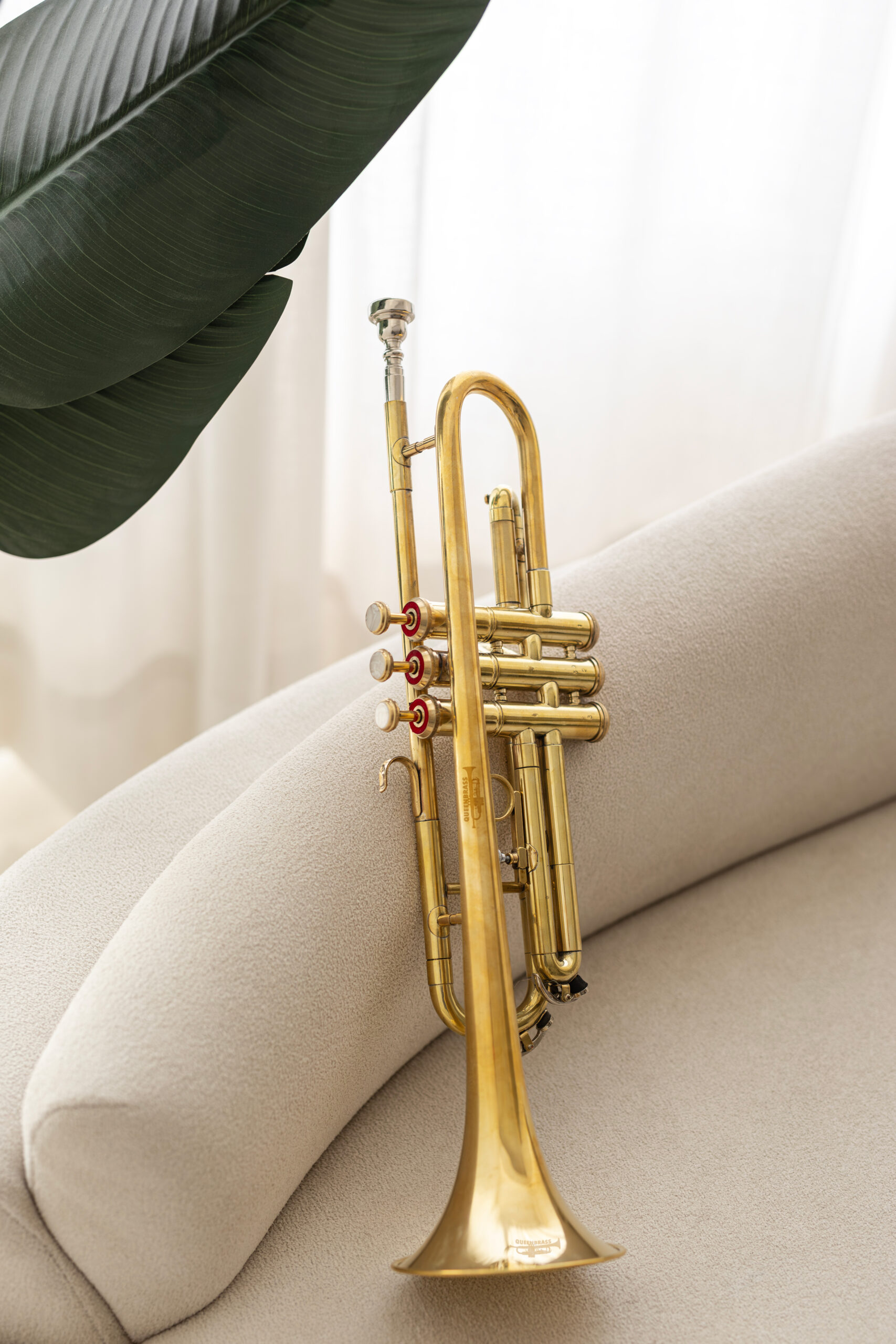 QueenBrass Standard Bb Trumpet – Beginner Brass Instrument with Case & Mouthpiece