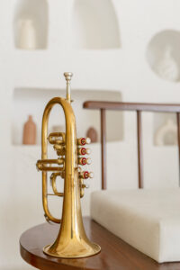 QueenBrass 4-Valve Flugelhorn in Bb/F – Brass Finish with Mouthpiece & Case