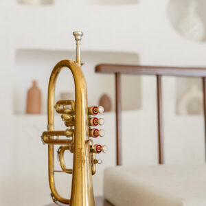 QueenBrass 4-Valve Flugelhorn in Bb/F – Brass Finish with Mouthpiece & Case