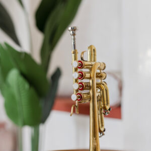 Bb Piccolo Trumpet – 4-Valve Brass with Hard Case