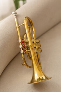 QueenBrass Cornet in Bb – Brass Finish Compact Instrument with Case & Mouthpiece