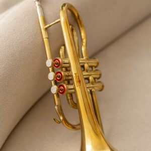 QueenBrass Cornet in Bb – Brass Finish Compact Instrument with Case & Mouthpiece
