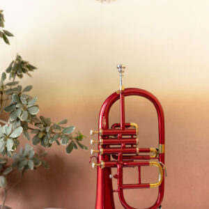 QueenBrass 4-Valve Flugelhorn – Bb/F Colored Lacquer with Gold Trim